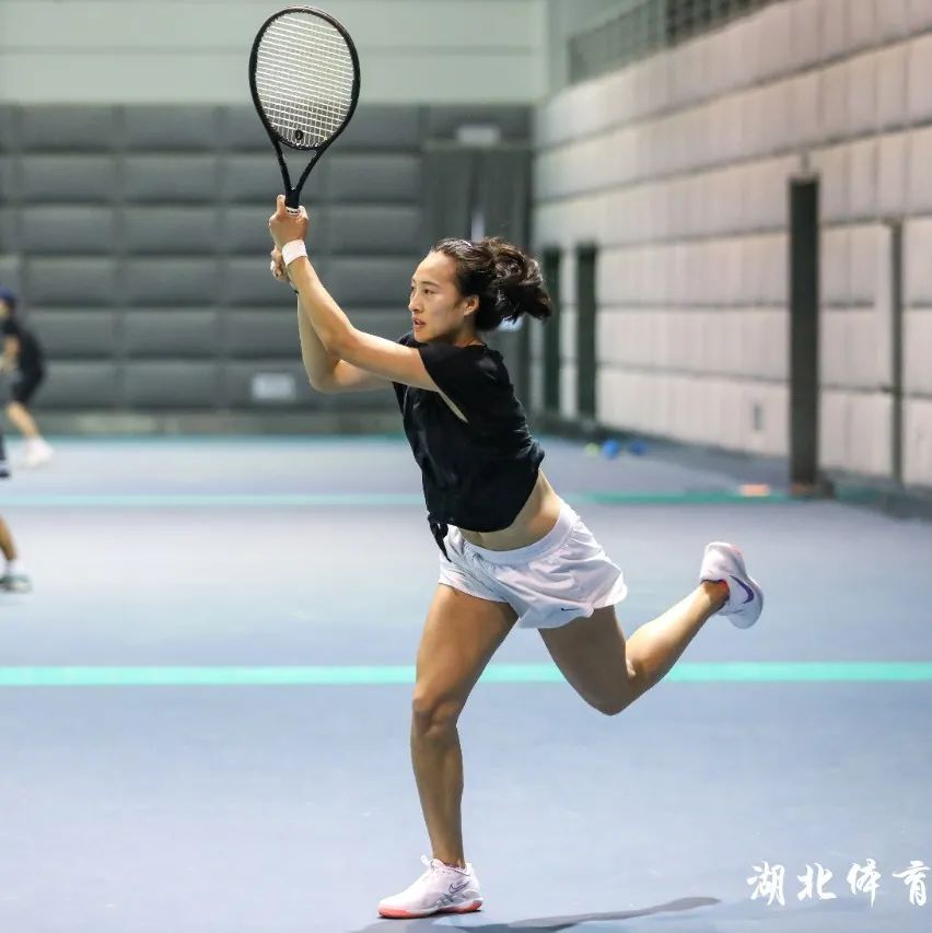 和金元投入 和金元投入