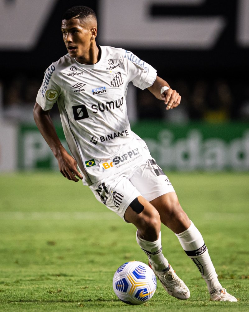 篇文章的 篇文章的